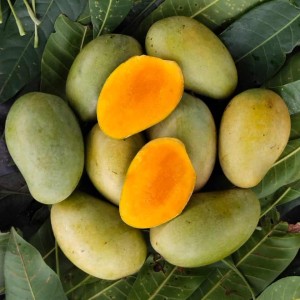 Amrapali Mango (আম্রপালি আম)