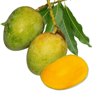 Gopal Bhog Mango (গোপালভোগ আম)