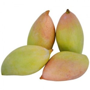 Totapuri Mango (তোতাপুরী আম)